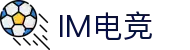 IM(股份有限公司)电竞-电子竞技平台